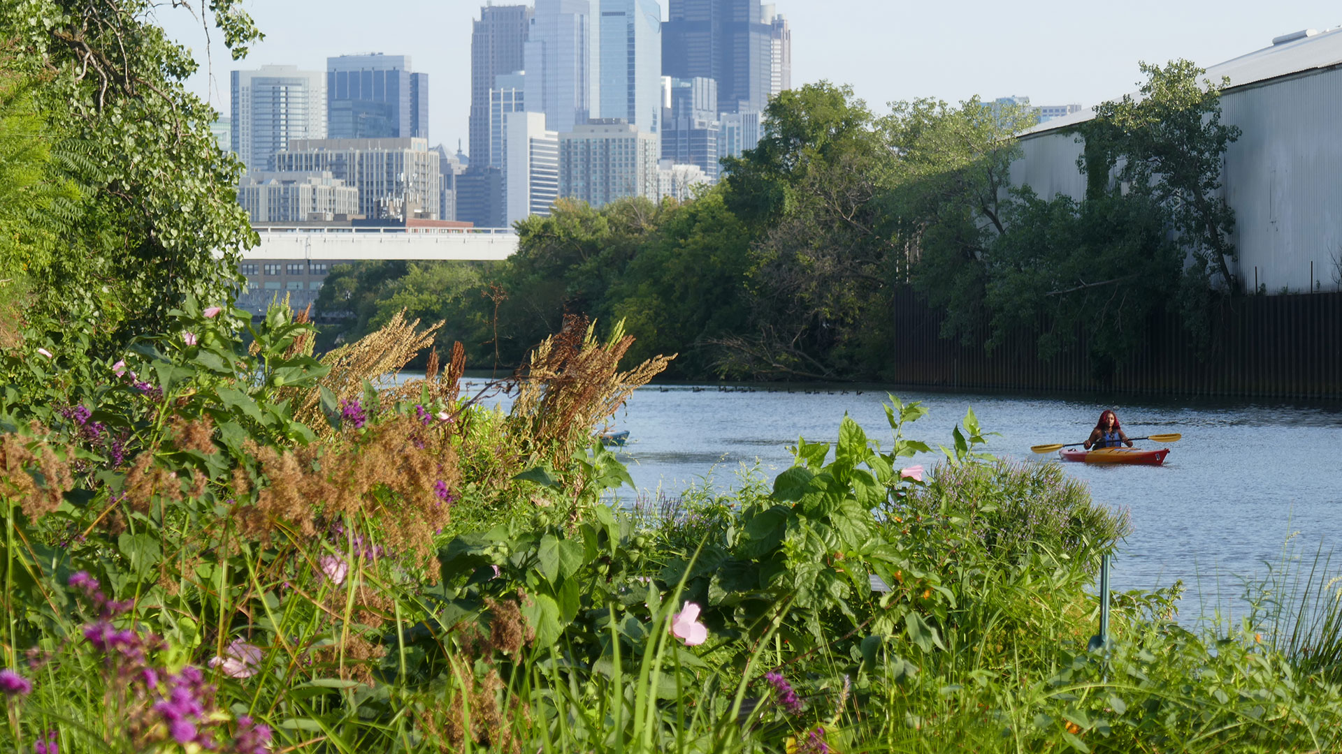 Course Image Module 4 - Urban Ecosystems 2026