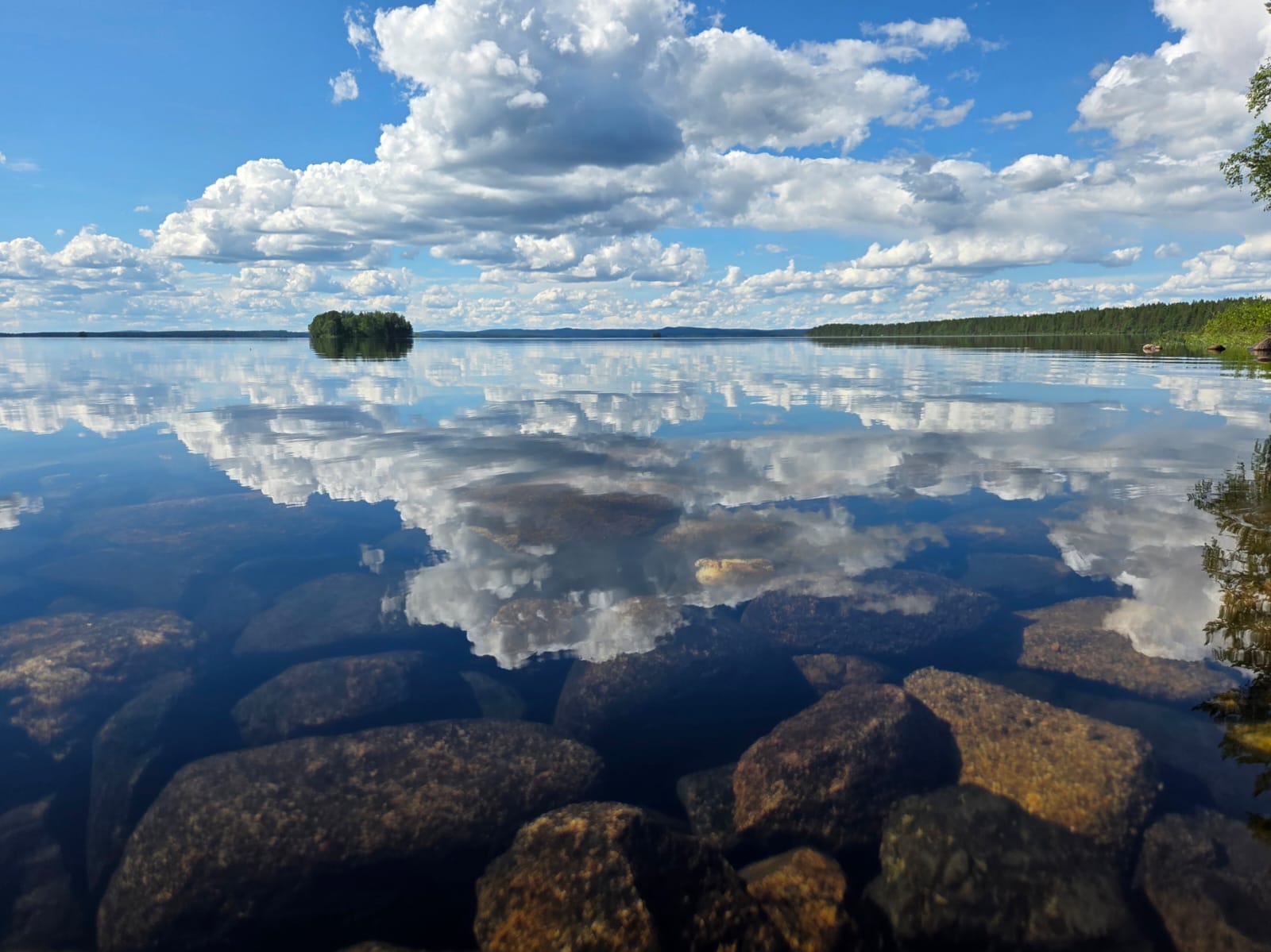 Course Image 1.1 Ekologinen kestävyys - luonnon kantokyvyn rajat S26