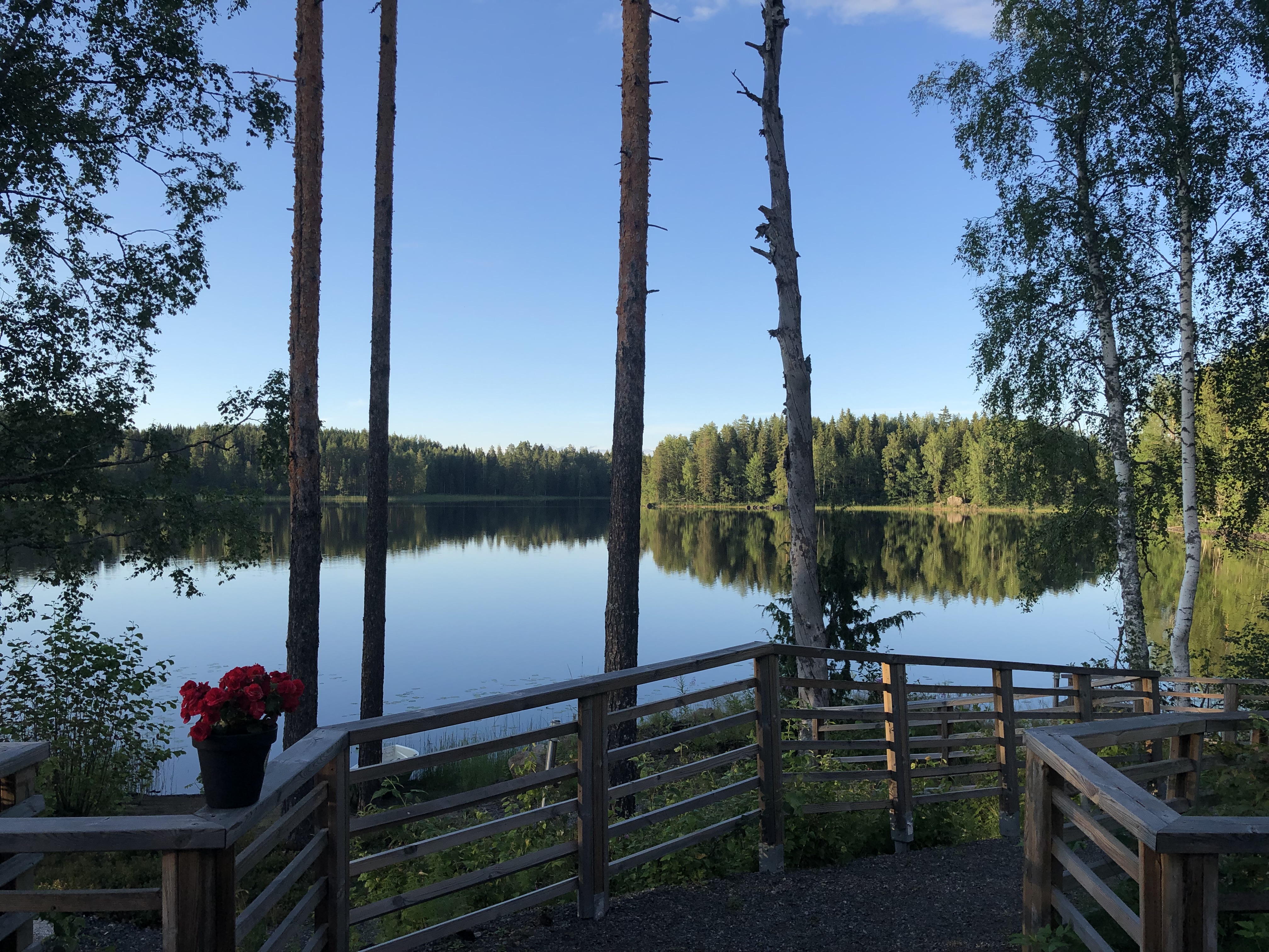 Course Image Finnish 1, syksy 2026