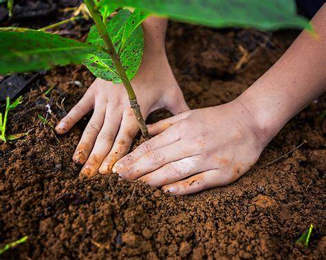 Course Image ES23B - Kasvatustieteelliset perusopinnot (OP00DD85-3024)